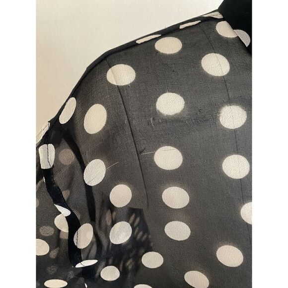 Equipment Femme Womens Button Front Sheer Polka Dot Print Blouse Top M - Picture 3 of 6